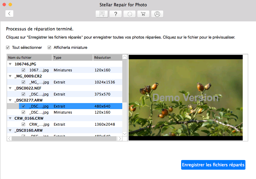 Sauvegarder les fichiers JPEG réparés